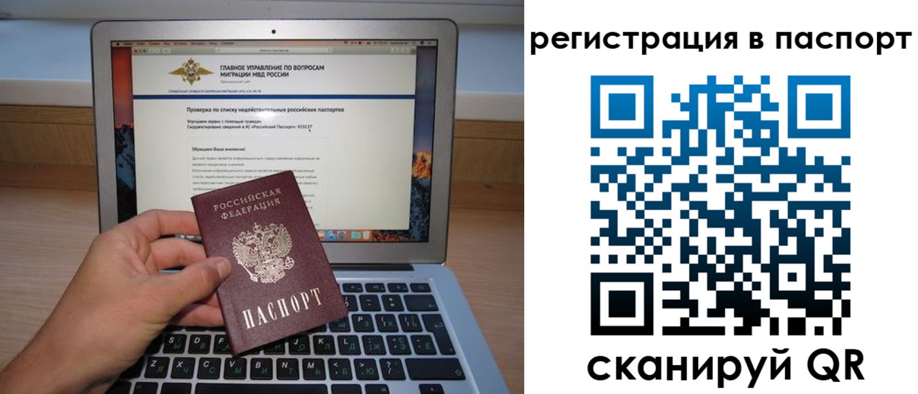 прописка паспорт в Мончегорске