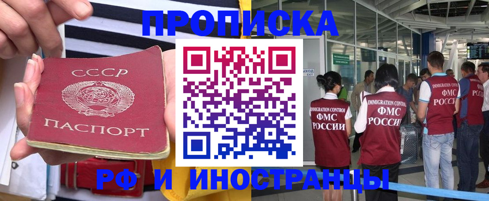 прописка 2025 в Мончегорске