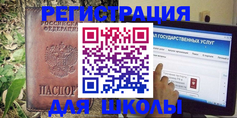 прописка для школы в Мончегорске